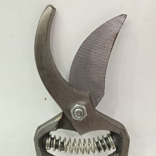 Flower Cutter Red Leaf