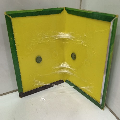 Rat Glue Book Pasban